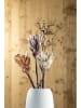 LEONARDO Kunstblume ''Fiore'' in Beige/ Rosa/ Apricot - (L)50 cm