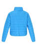 Schmuddelwedda Steppjacke in Blau/ Weiß