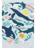 Frugi Koszulka w kolorze szarym