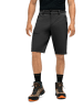 Maier Sports Funktionsshorts "Nil"