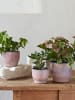 Stelton Blumenübertopf "Knabstrup" in Rosa - (H)10,5 x Ø 12,5 cm