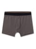 Sanetta 2-delige set: boxershorts grijs/beige/zwart