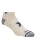Hurley 6er-Set: Sportsocken in Beige/ Dunkelblau/ Grau