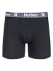 Hurley Bokserki (4 pary) w kolorze czarnym