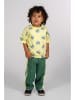 The New Chapter Broek "Taylor" groen/geel