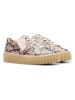 Clarks Leder-Sneakers "Mayhill Walk" in Beige/ Grau