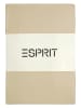 ESPRIT Spannbettlaken in Taupe