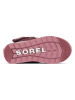 Sorel Botki "Whitney" w kolorze fioletowym