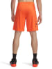 Under Armour Trainingsshorts in Orange
