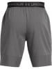Under Armour Funktionsshorts in Grau