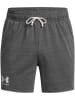 Under Armour Shorts in Grau