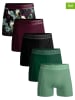 Muchachomalo 5er-Set: Boxershorts in Schwarz/ Bordeaux/ Grün