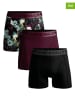 Muchachomalo 3er-Set: Boxershorts in Schwarz/ Bordeaux