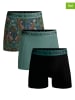 Muchachomalo 3er-Set: Boxershorts in Schwarz/ Grün