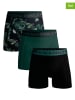 Muchachomalo 3er-Set: Boxershorts in Schwarz/ Grün