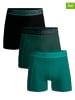 Muchachomalo 3er-Set: Boxershorts in Schwarz/ Grün