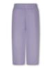 The New Chapter Broek "Atlas" paars
