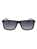 Carrera Herenzonnebril bruin/donkerblauw