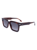 Carrera Herenzonnebril bruin/blauw