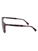 Polaroid Herren-Sonnenbrille in Braun/ Schwarz