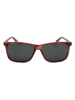 Polaroid Herren-Sonnenbrille in Hellbraun/ Schwarz