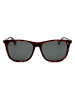 Polaroid Herren-Sonnenbrille in Braun/ Grau