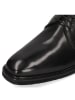 MELVIN & HAMILTON Leren veterschoenen "Dino 2" zwart