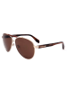 adidas Herren-Sonnenbrille in Gold/ Braun