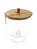 Homla Etagere "Wood Colony" in Transparent/ Hellbraun - (H)18 x Ø 24 cm