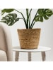 Homla Blumenübertopf ''Lumbo'' in Beige - (H)23 x Ø 19 cm