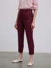 BGN Broek bordeaux