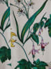 BGN Rok wit/groen