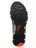 Craft Trailrunningschuhe "ADV Nordic Trail" in Grau/ Blau