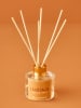 BELLA MAISON 2tlg. Raumduft-Set "Indian Cinnamon Therapy"