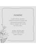 BELLA MAISON Geurstokjes "Jasmine" - 250 ml