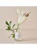 BELLA MAISON Geurstokjes "Simply Linen" - 250 ml
