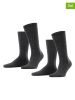 ESPRIT 2er-Set: Socken ''Basic'' in Anthrazit