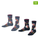 ESPRIT 2er-Set: Socken "Hedgehog" in Schwarz/ Grau
