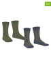 ESPRIT 2er-Set: Socken ''Check'' in Grün/ Blau