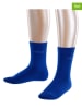 ESPRIT 2er-Set: Socken "Foot Logo" in Blau