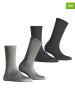 ESPRIT 2er-Set: Socken ''Basic'' in Grau/ Anthrazit