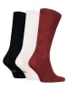 Puma 3er-Set: Socken in Bordeaux/ Weiß/ Schwarz