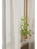 Ellos Home 2er-Set: Mehrbandgardinen "Cornelia" in Beige