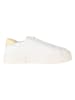 Tommy Hilfiger Sneakers in Creme