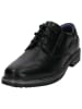 Bugatti Leder-Schnürschuhe in Schwarz