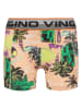 Vingino 5er-Set: Boxershorts in Bunt