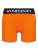 Vingino 7er-Set: Boxershorts in Bunt