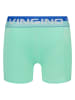 Vingino 4er-Set: Boxershorts in Bunt