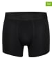 Phil & Co. Berlin 3er-Set: Boxershorts in Schwarz