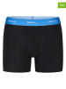 Phil & Co. Berlin 3er-Set: Boxershorts in Schwarz